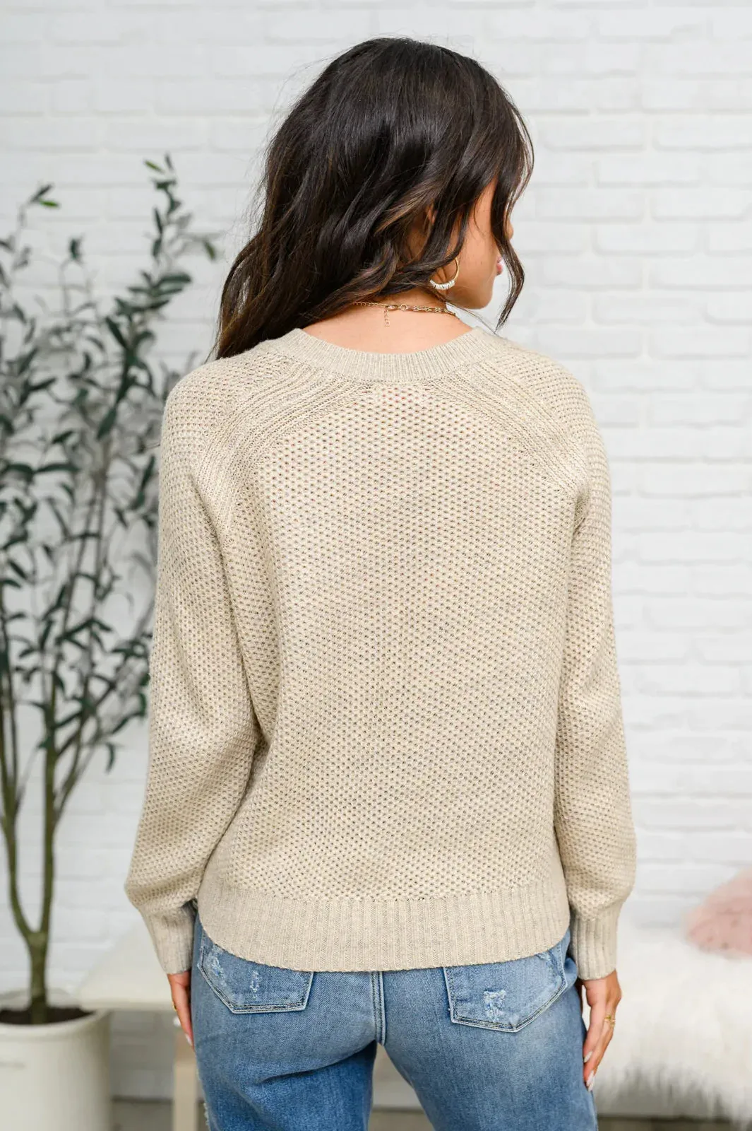 Hazel Blues® | Chai Latte V-Neck Sweater in Oatmeal