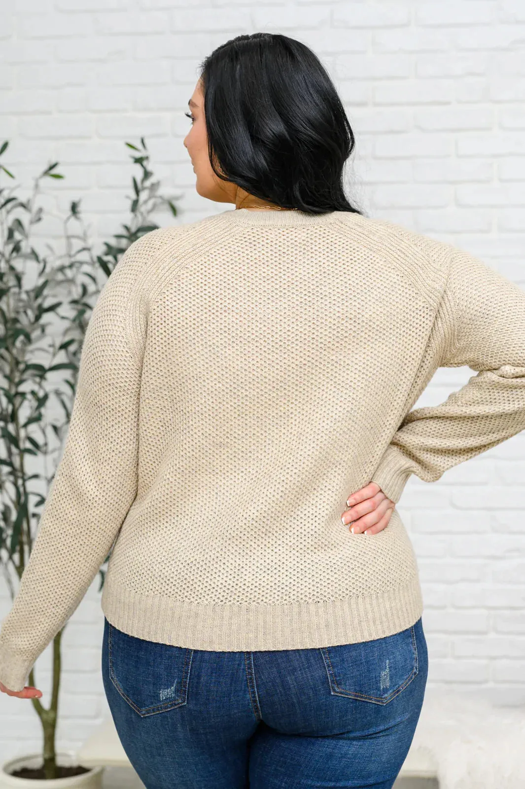 Hazel Blues® | Chai Latte V-Neck Sweater in Oatmeal