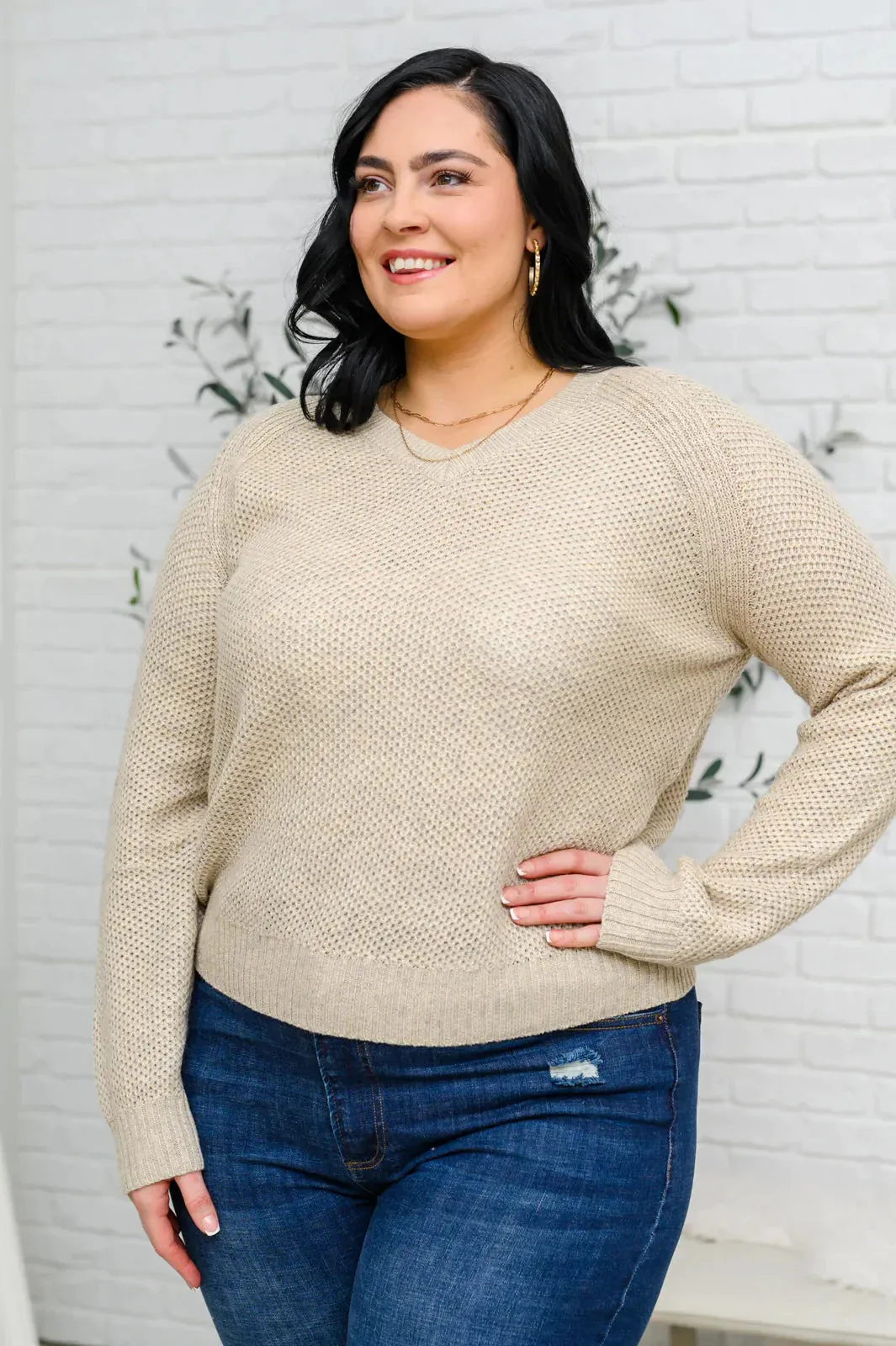 Hazel Blues® | Chai Latte V-Neck Sweater in Oatmeal