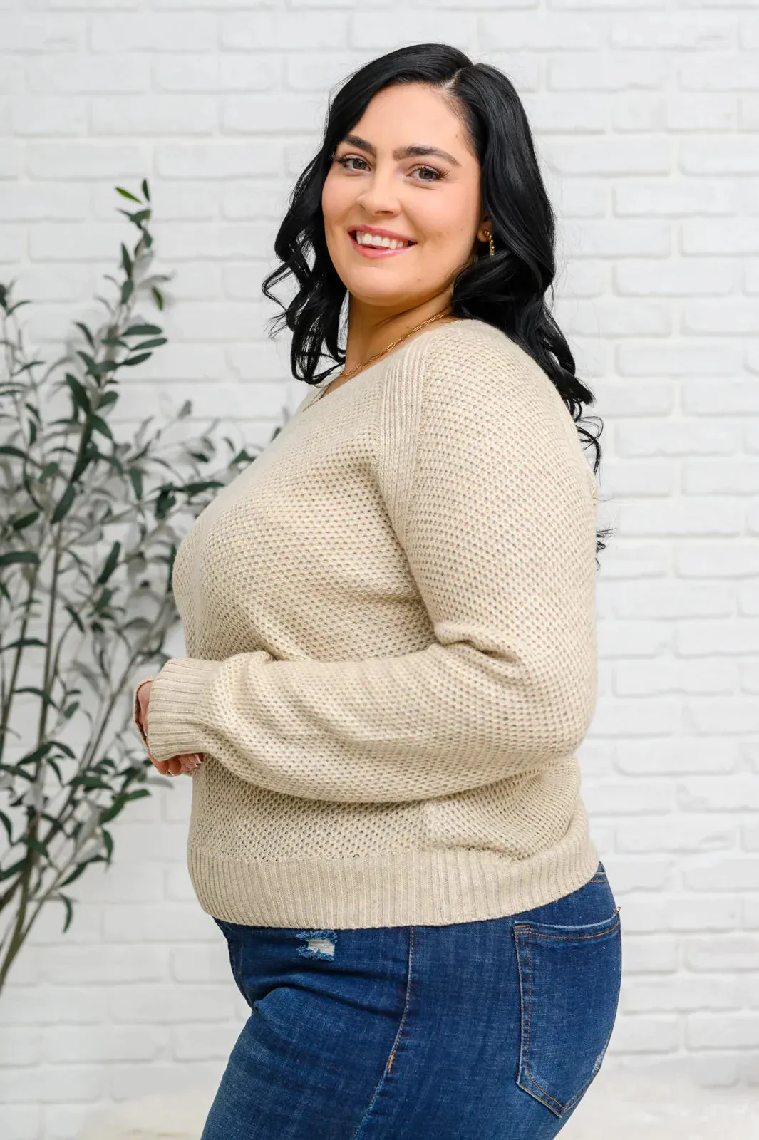 Hazel Blues® | Chai Latte V-Neck Sweater in Oatmeal