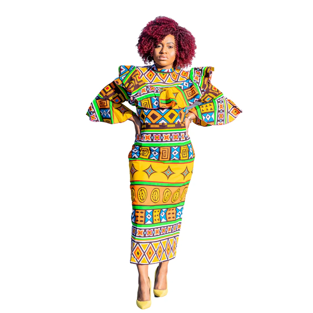 Multi Color Ruffle Print High Neck With Flare Sleeve