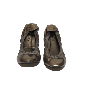 Pewter Shoes