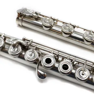 Powell Custom #4269 - Sterling silver, inline G, high G# facilitator, C# trill key, D# roller, B footjoint, no headjoint