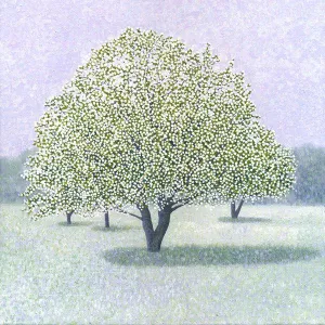 Snow Crab Apple