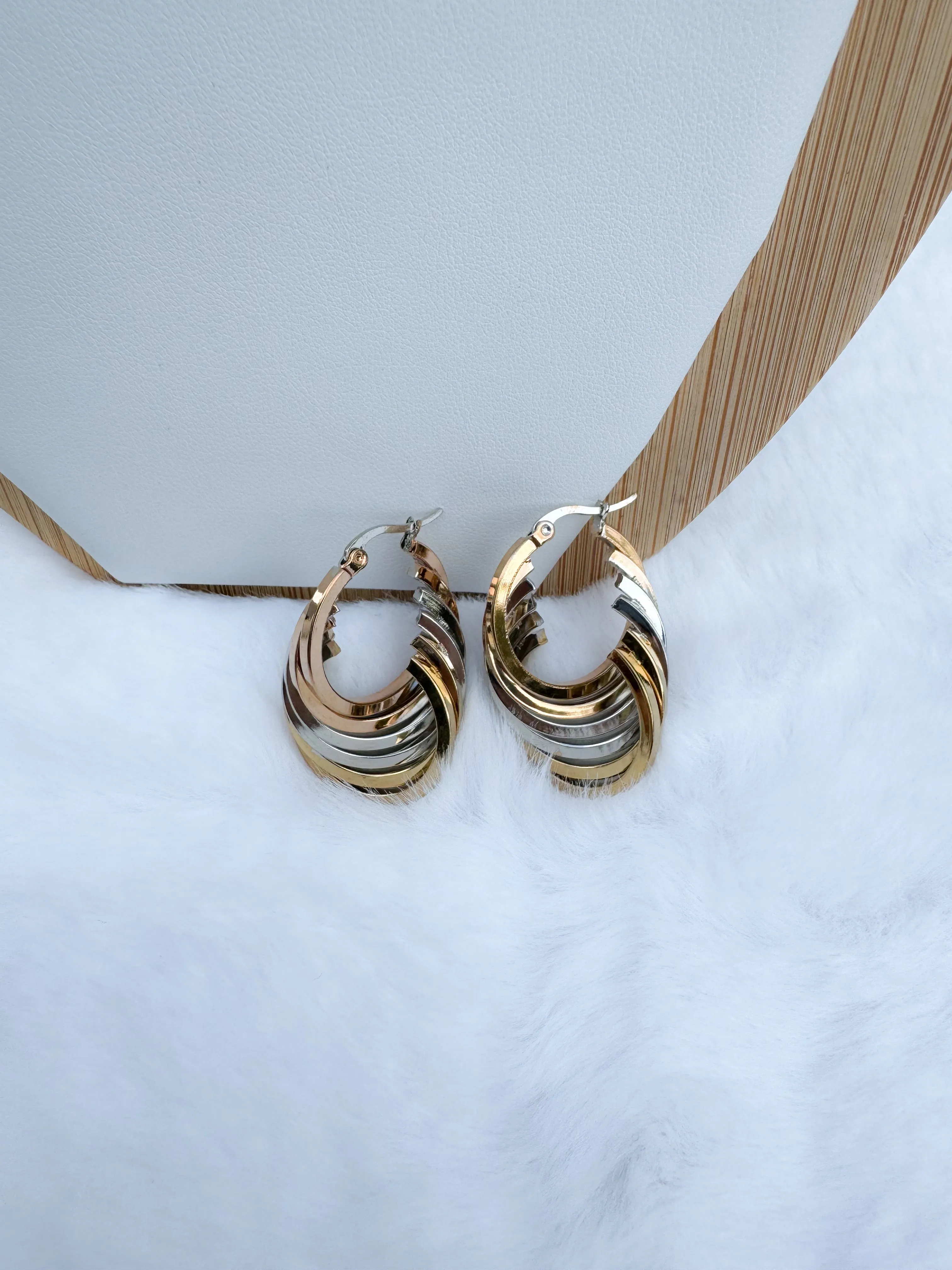 Stainless steel earrings