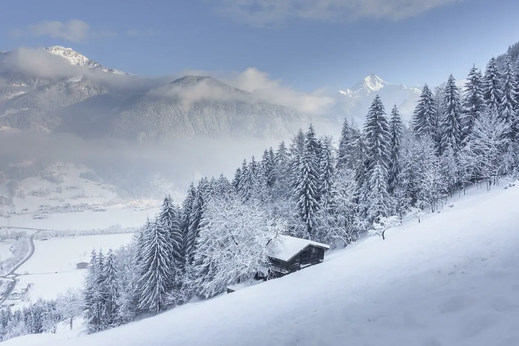 Winter is Coming Wallpaper Mural